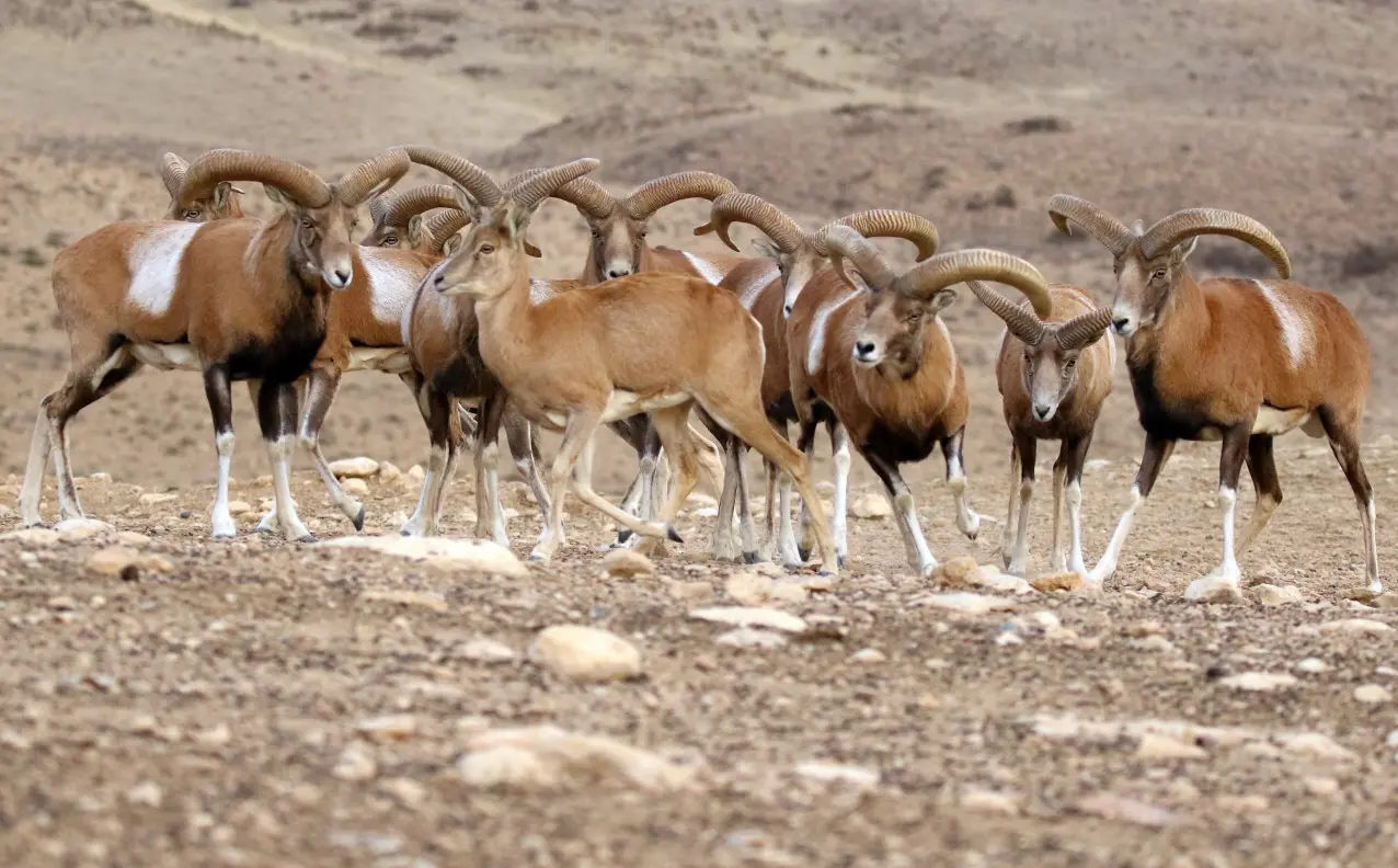 Geographic and Hydro-Ecological Profile of Bakhtegan National Park
