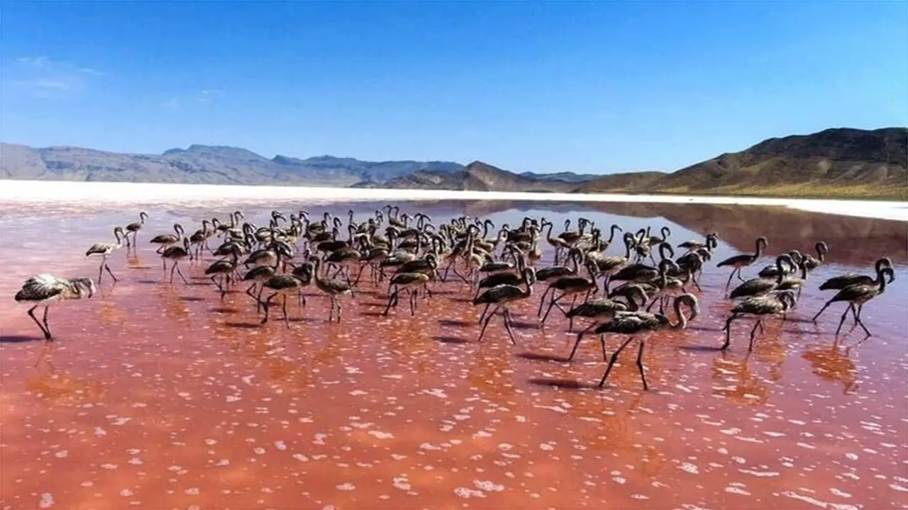 Bakhtegan National Park