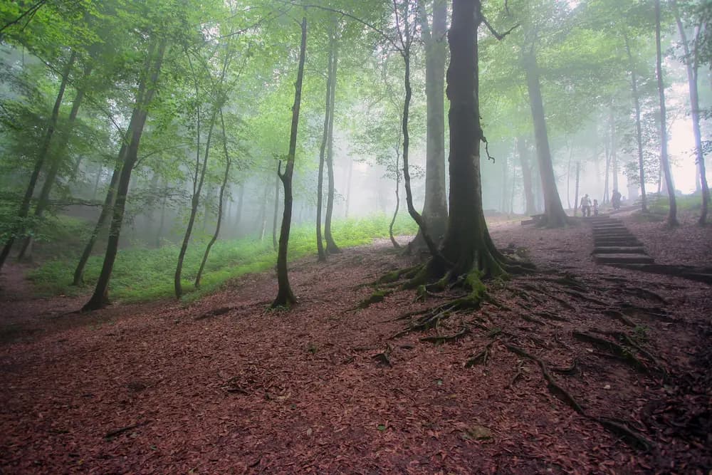 Golestan National Park: The Eastern Gateway