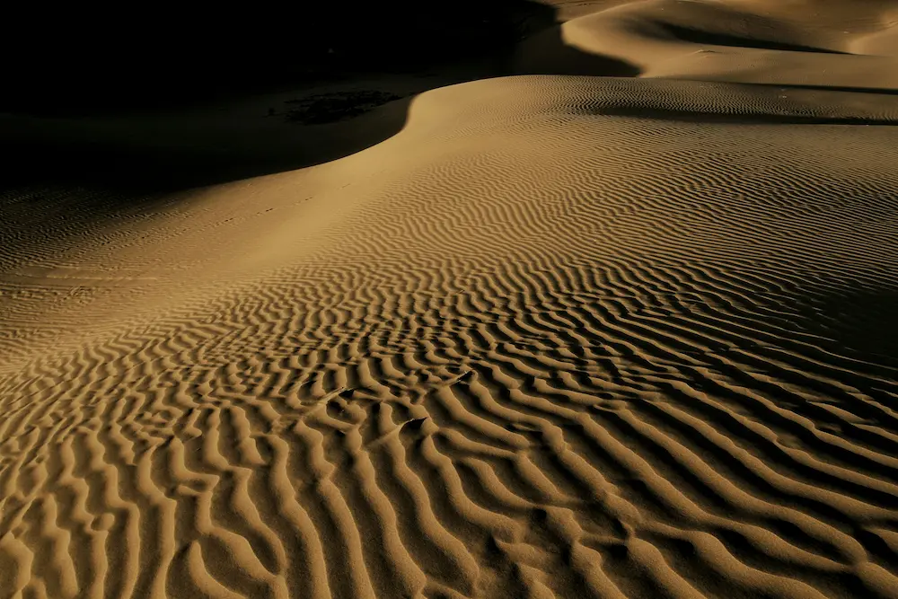 Discovering the Allure of the Maranjab Desert