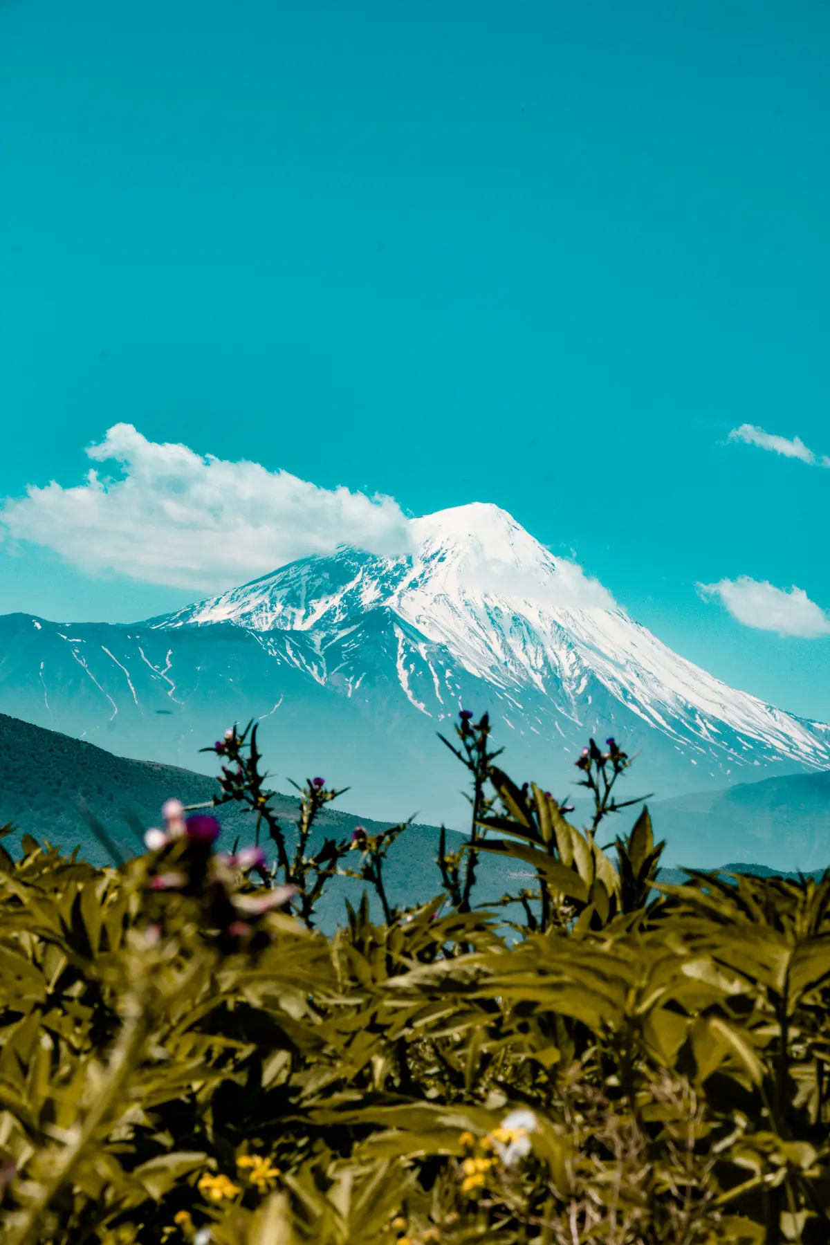 Unveiling Damavand's Natural Wonders: Geology and Ecosystems